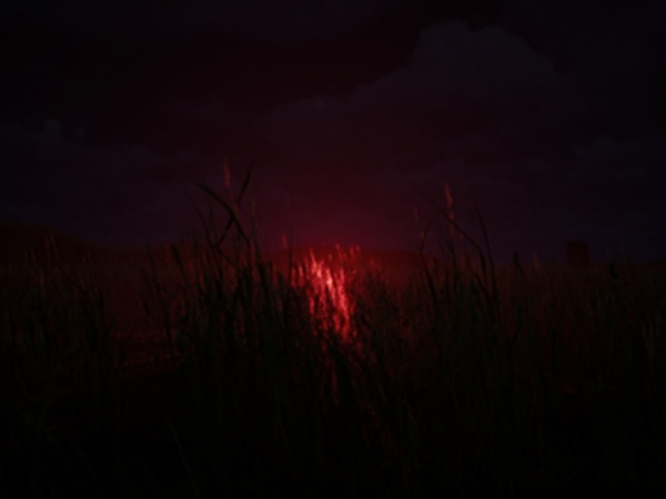 后室：遗失磁带