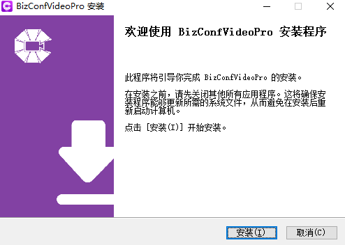 bizconf video pro