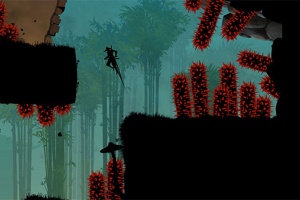 忍者岚2官方正版