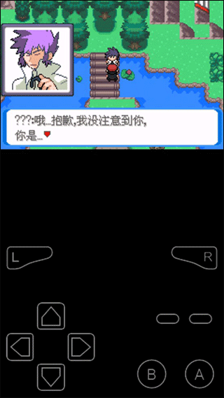 口袋妖怪决心gba版