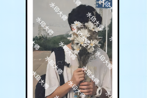 水印大师最新版