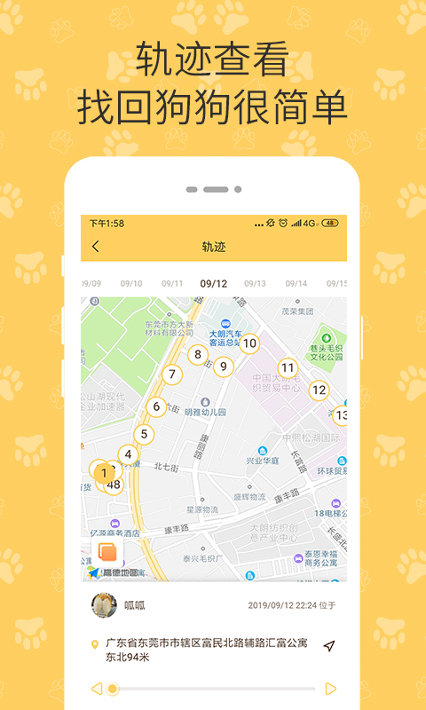 陪彼宠物最新版