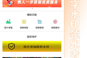水印王app