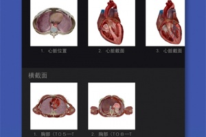 2026人体解剖学图谱app