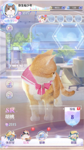 超喵星计划