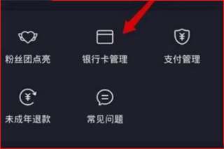 抖音极速版红包版