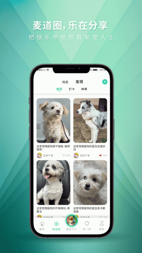 麦道宠物app