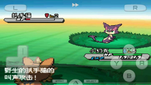 口袋妖怪白2（金手指代码）