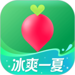 叮咚买菜官方版