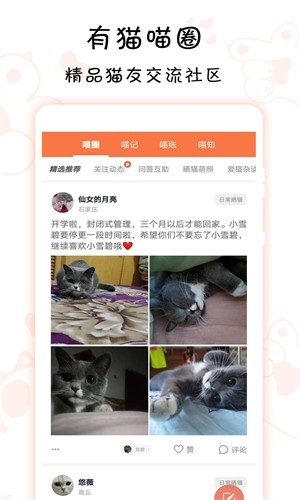 领喵app