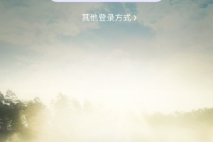 北京现代bluelink