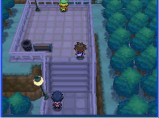 口袋妖怪黑2nds原版