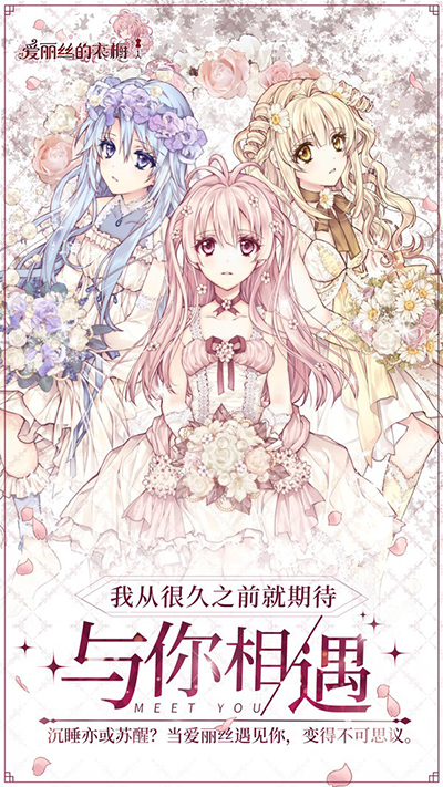 爱丽丝的衣橱国际版