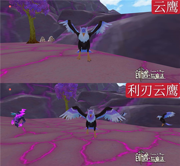 创造与魔法国际服