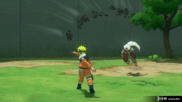 火影忍者 疾风传 究极风暴2