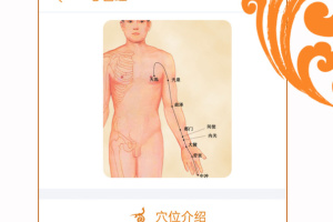 经络养生app
