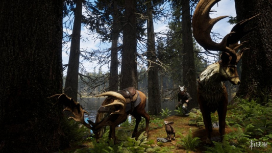 堡垒：火焰之炼