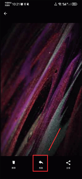 回收站Dumpster官方版