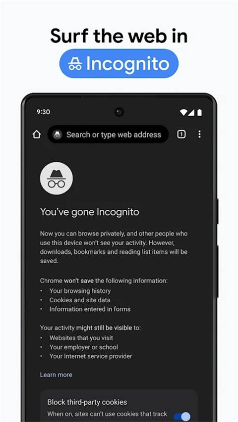 谷歌浏览器测试版(Chrome Beta)