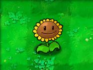 植物大战僵尸魔改版