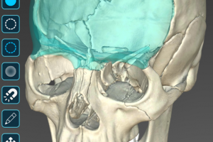人体解剖学图集