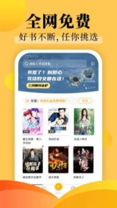 饭团探书纯净版