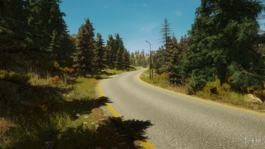 淘金热：The Game