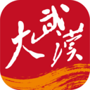 大武汉app