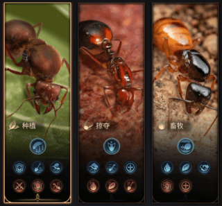 小小蚁国国际版(The Ants)