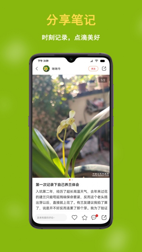 兰花交易网app