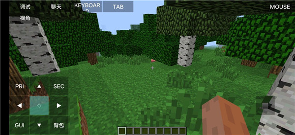 Minecraft Java版