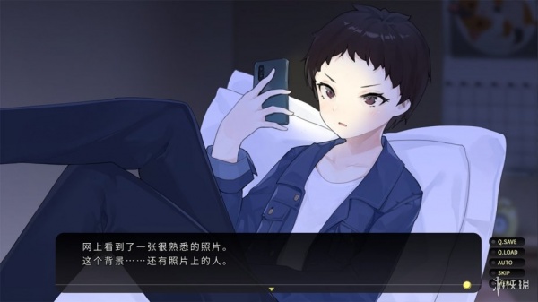 流浪小猫单身狗