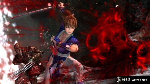 忍者龙剑传3：刀锋边缘