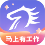 百城招聘app