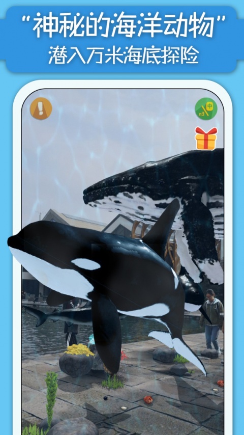 猫小智动物园ar最新版