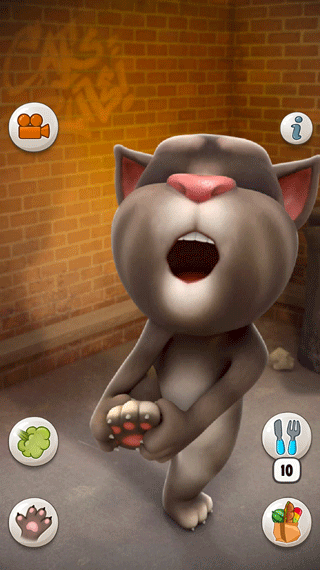 会说话的汤姆猫单机版