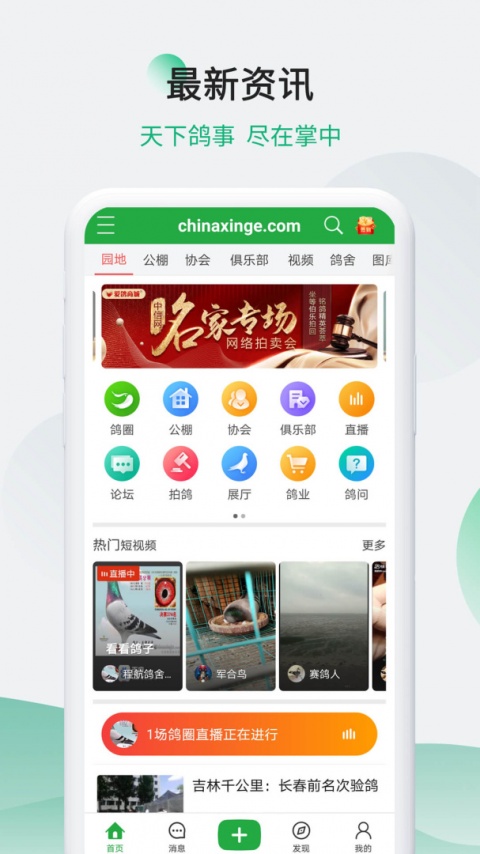 中国信鸽信息网app