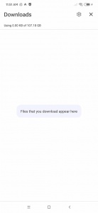 kiwibrowser浏览器