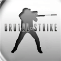 野蛮打击国际版(BrutalStrike)