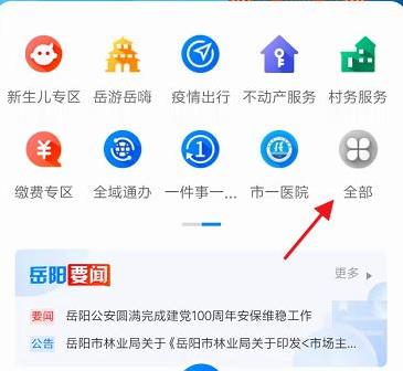 岳办岳好app