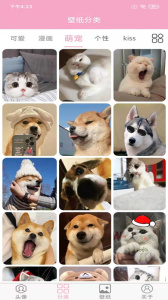 头像设计大全官方版