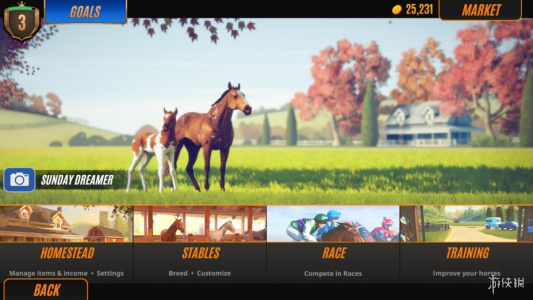 家族传奇：马匹养成竞技