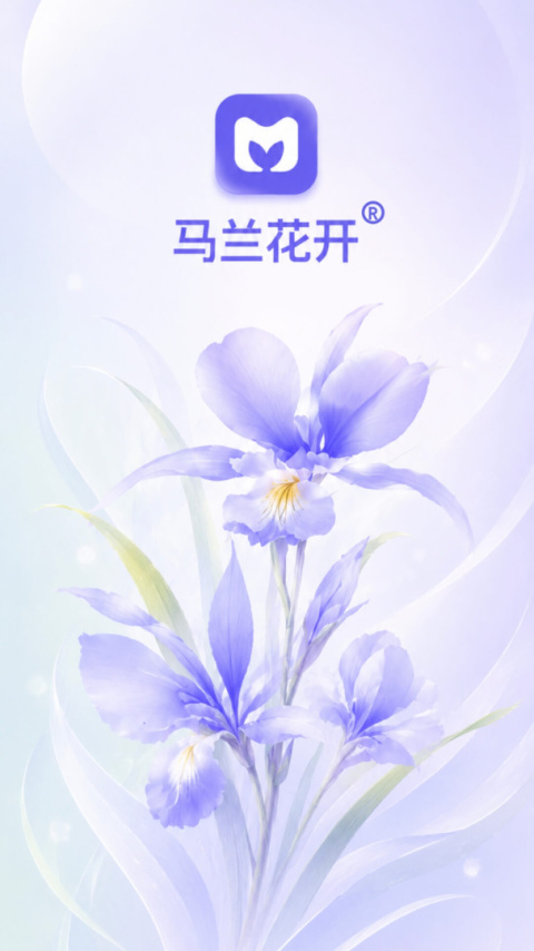 马兰花开