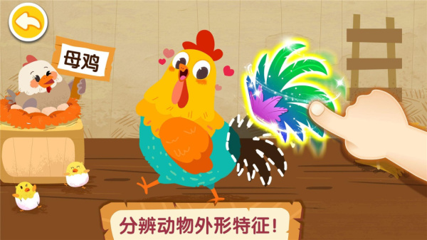 奇妙的动物家庭最新版