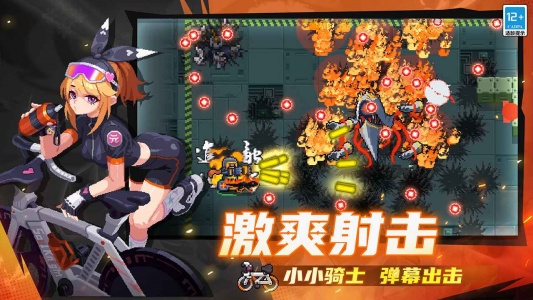 元气骑士测试服