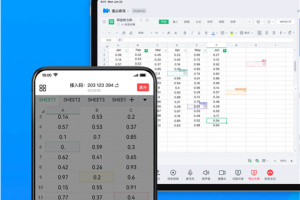 WPS会议(原金山会议)