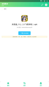 夹音盒1.0(小飞棍来咯)