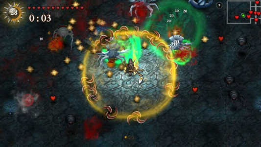 争取光明：生存