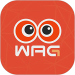 看个比赛官方版