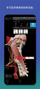 2026人体解剖学图谱app